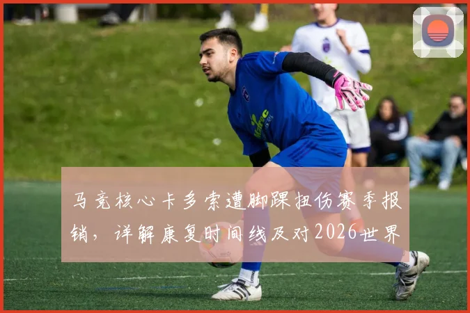 马竞核心卡多索遭脚踝扭伤赛季报销，详解康复时间线及对2026世界杯参赛前景影响