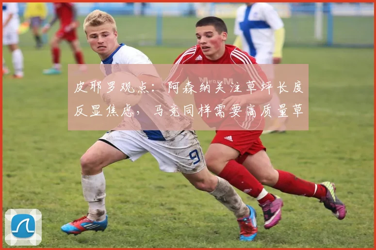 皮耶罗观点：阿森纳关注草坪长度反显焦虑，马竞同样需要高质量草坪维护分析
