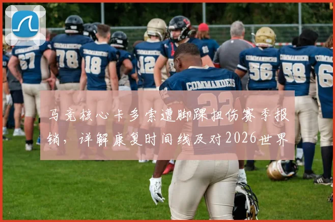 马竞核心卡多索遭脚踝扭伤赛季报销,详解康复时间线及对2026世界杯参赛前景影响